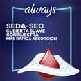 thumbnail image 5 of Toallas Femeninas Nocturna Always Seda-Sec, 22 pzas, 5 of 5