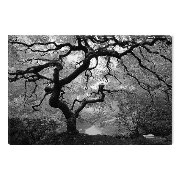 Startonight Canvas Wall Art Black and White Abstract Maple Tree Nature  Landscape, Dual View Surprise Artwork Modern Framed Ready to Hang Wall Art  100% 