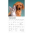 thumbnail image 4 of Kittens & Puppies | 2026 7x14" (Hanging) Monthly Mini Wall Calendar | BrownTrout, 4 of 9
