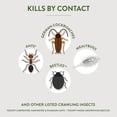 thumbnail image 3 of Garden Safe Brand Crawling Insect Killer Containing Diatomaceous Earth, 4 Pounds, Kills Cockroaches, Ants and Other Listed Crawling Insects by Contact, For Use Indoors & Outdoors, 3 of 9