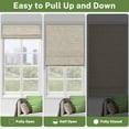 thumbnail image 2 of MiLin Cordless Roman Shades Blackout Roman Window Shades, Fabric Roman Blinds Custom Size Privacy Window Treatments Insulated for Home (Blackout Caramel Brown, 19" W X 72" H), 2 of 6