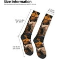 thumbnail image 5 of John Cena Stocking Women's Crew Sock High Sock Soft Men's Athletic Socks Outdoor Socks, 5 of 7