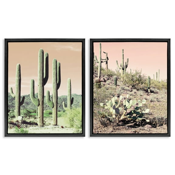 Stupell Industries Saguaro Cactus Desertscape Landscape & Nature Photography Black Floater Framed Canvas Art Print Wall Art, 17 x 21, Set of 2
