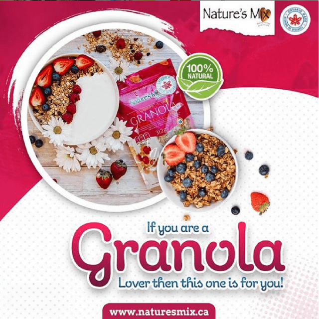 MADE IN CANADA - Nature's Mix Cranberry Maple Granola, Resealable Bag, 312g