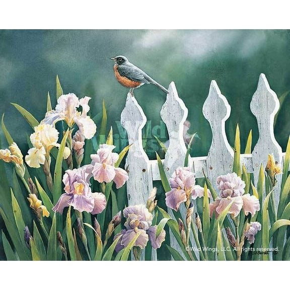 Early Bird—Robin