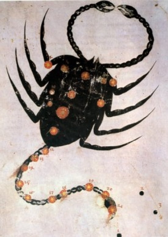 Scorpio Or Scorpion
