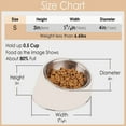 thumbnail image 2 of SuperDesign Mess Free 15° Slope Bowl for Dogs and Cats, Tilted Angle Bulldog Bowl Pet Feeder, Non-Skid & Non-Spill, Easier to Reach Food S/0.5 Cup White, 2 of 7