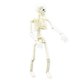 thumbnail image 1 of Adorno de calavera movible para fiesta de Halloween, esqueleto humano de simulación de 16 pulgadas, accesorios de decoración de Festival de fantasmas, 1 of 4