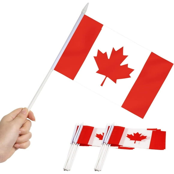 Anley Canada Mini Drapeau 12 Pack - Main Tenue Petits Drapeaux Canadiens Miniatures sur Bâton - Fade Résistant & Couleurs Vives - 5 X 8 Pouces avec Pôle Solide & Spear Top