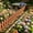 💖 Coffee_Hot#765, variant on Garden Fence Decorative Edging Plastic Border Easy Assembly for Flower Beds Lawns Pathways Patios Landscaping