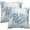 Blue Coral, variant on Summer Coastal Throw Pillow Cover 18x18 inch Set of 2, Teal Blue Coral Beach Ocean Themed Decorative Cushion Covers for Home Couch Bed Sofa Farmhouse Decoration
