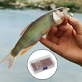 thumbnail image 2 of Juego de moscas atadas, moscas streamer, caja de moscas, señuelo de pesca, surtido de moscas de pesca húmedas G, 2 of 9