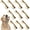 5.1 x 2 Inch, variant on Dog Chew Toys 5.1 x 2 Inch Aggressive Chewer Variety Pack