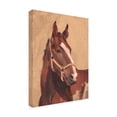 thumbnail image 2 of Jacob Green 'Thoroughbred IV' Canvas Art, 2 of 4