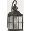 Forte Lighting 1-Light Outdoor Wall Lantern