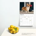 thumbnail image 4 of The Beauty of Welsh Corgis | 2024 14x24" (Hanging) Wall Calendar | StarGifts, 4 of 8