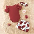 thumbnail image 5 of TOOYOU Girls Summer Outfit Sets Short Sleeve Daddy Mama Saying Romper Floral Shorts Headband For Baby Girls School Uniform Sets Size 0 -3 Months Brick Red, 5 of 9
