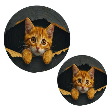 

Cat Through in The Wall Pot Holders Set Trivets Hot Pads Cotton Mats for Cooking