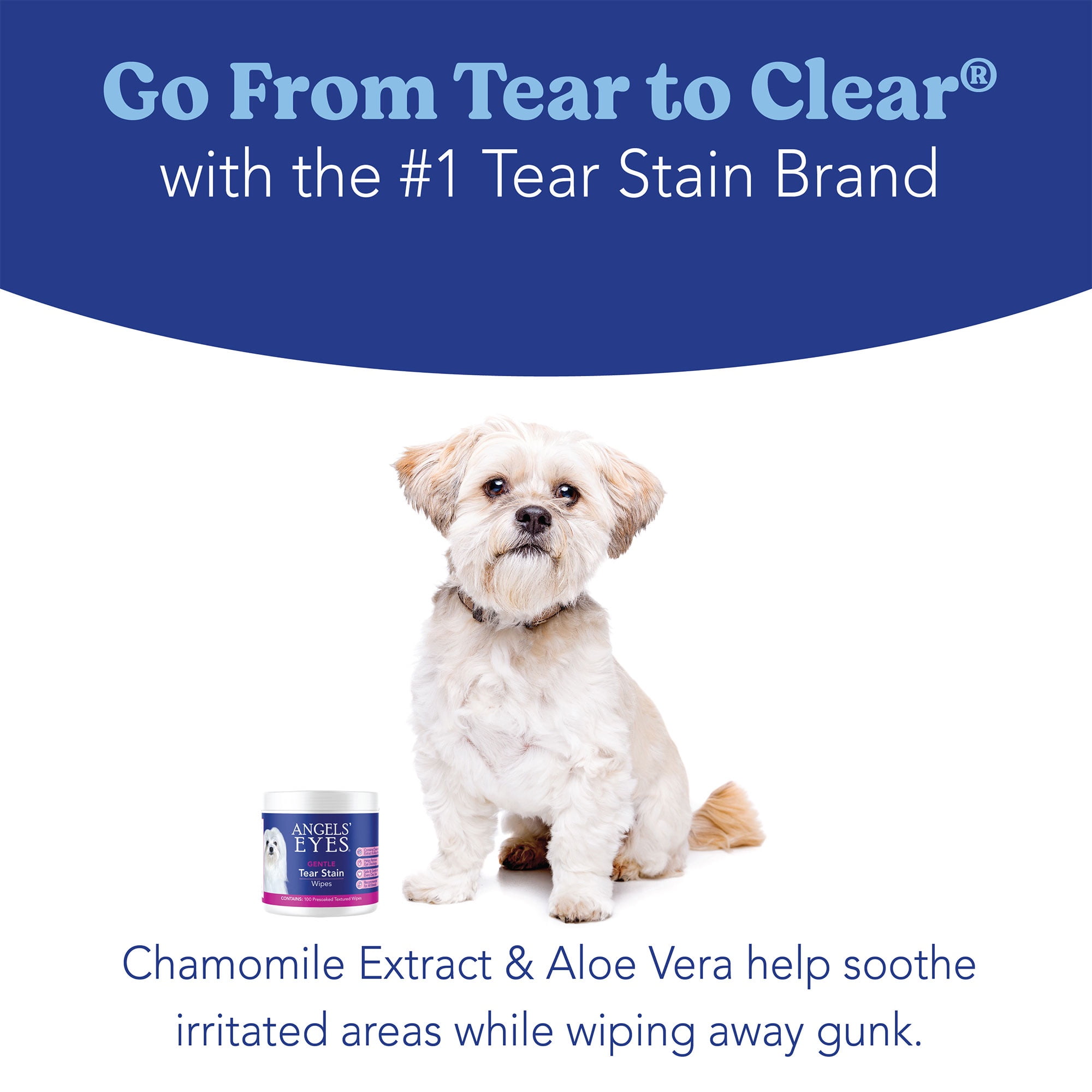 Always bright eyes tear stain remover sales