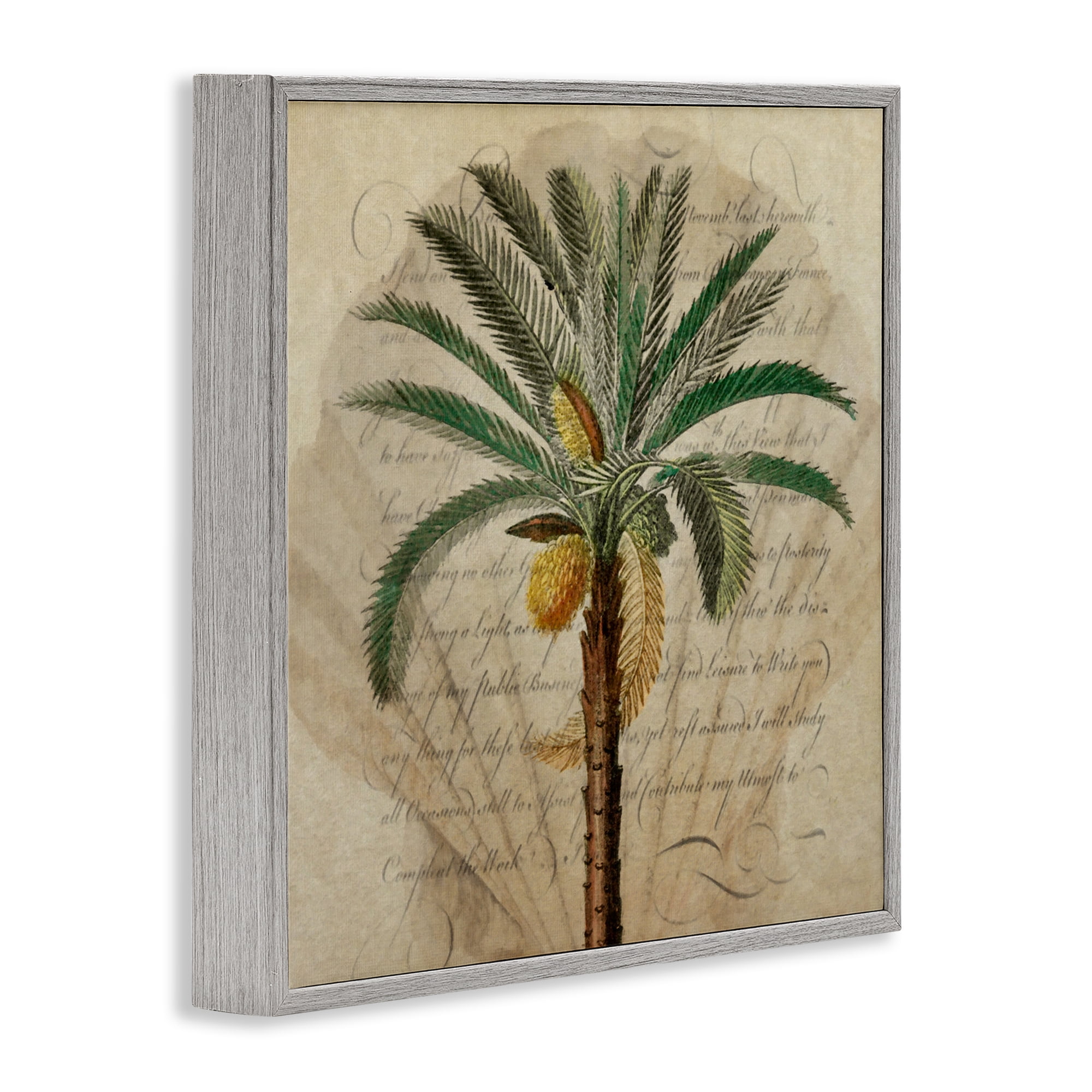 Stupell Industries Vintage Subdued Palm Gray Framed Giclee Art, design by Steve Hunziker
