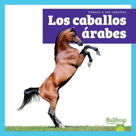 Conoce a Los Caballos (Meet the Horses) Los Caballos Árabes (Arabian Horses), (Hardcover)