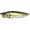 GG Bass, variant on Megabass PopMax Topwater Popper - 1/2 oz. (HT Ito Wakasagi)