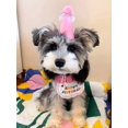 thumbnail image 2 of Bandana para mascotas con texto en inglés "Happy Birthday" para gatos y perros, bufandas y gorro de fiesta, miniperro, accesorios para mascotas, rosa A, 2 of 5