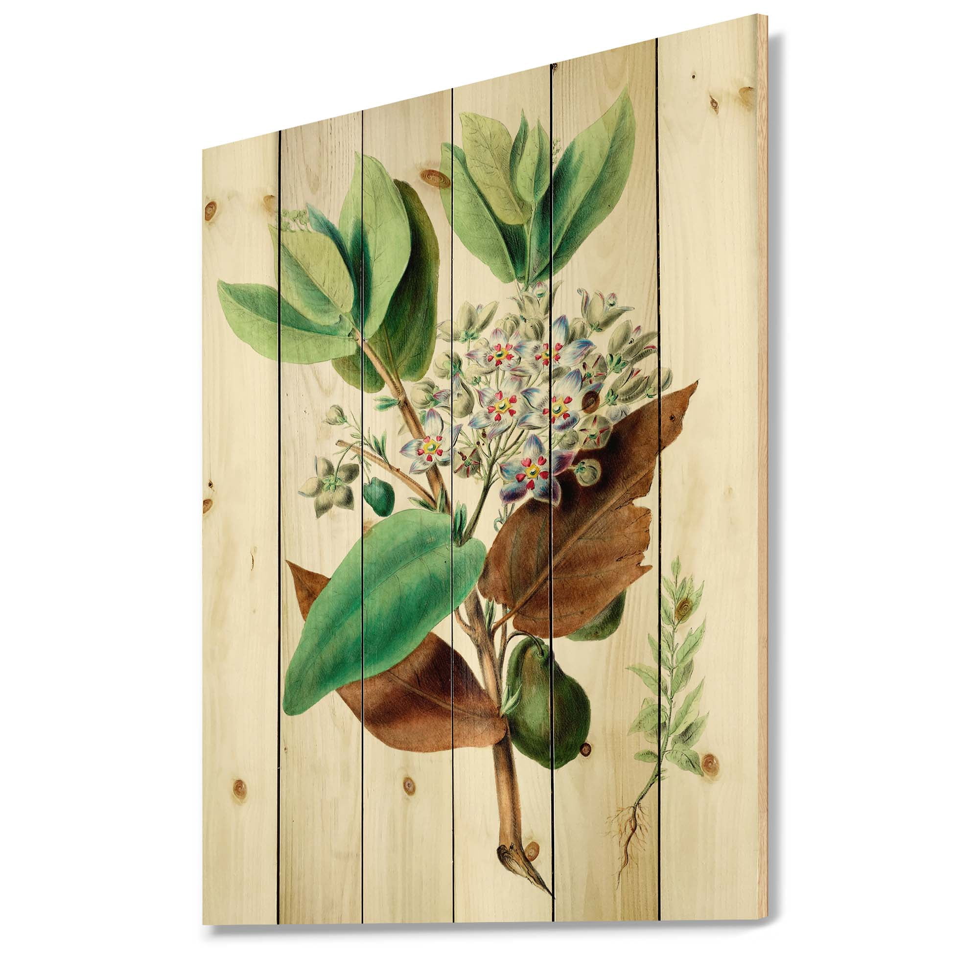 Designart 'Ancient Plant Life XXVIII' Traditional Print on Natural Pine Wood