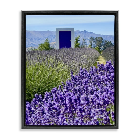 Stupell Industries Surreal Doorway Landscape Landscape Photography Black Floater Framed Art Print Wall Art, 17 x 21
