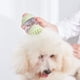 thumbnail image 3 of Cepillo de baño para mascotas, dispensador de masaje de champú para mascotas para el cuidado de mascotas, cepillo de ducha para limpieza del cabello de perros y gatos(verde), 3 of 5
