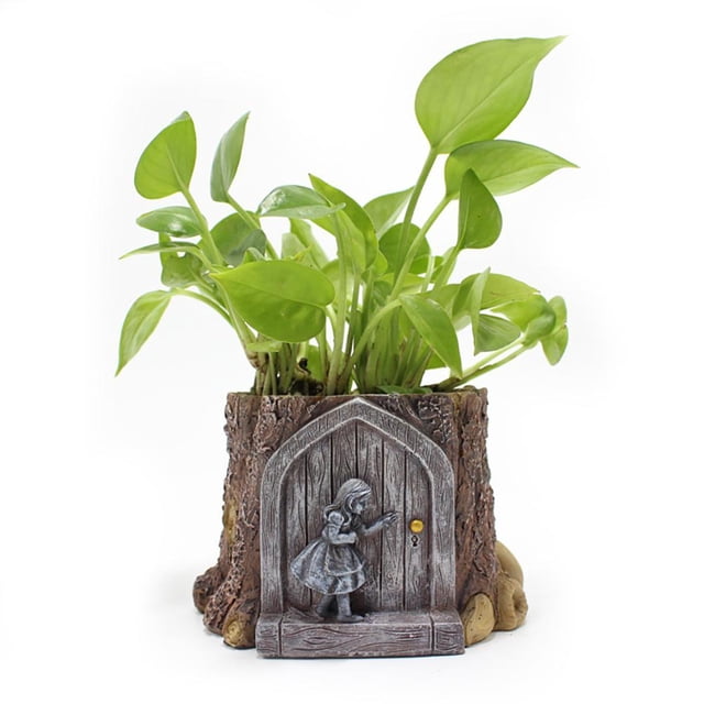 Mini Maceta De Resina Con Dibujos Animados Para Plantas Suculentas, Maceta Para Bonsái Para Decoración De Interiores Y Exteriores Eigraketly HA035386-00