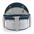 FisherPrice OntheGo Infant Dome Portable & Play Space with