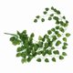 thumbnail image 4 of 6 Piezas de Guirnalda de Hiedra Artificial Plantas de Vid Colgantes Falsas Guirnalda de Follaje Falso, 4 of 7