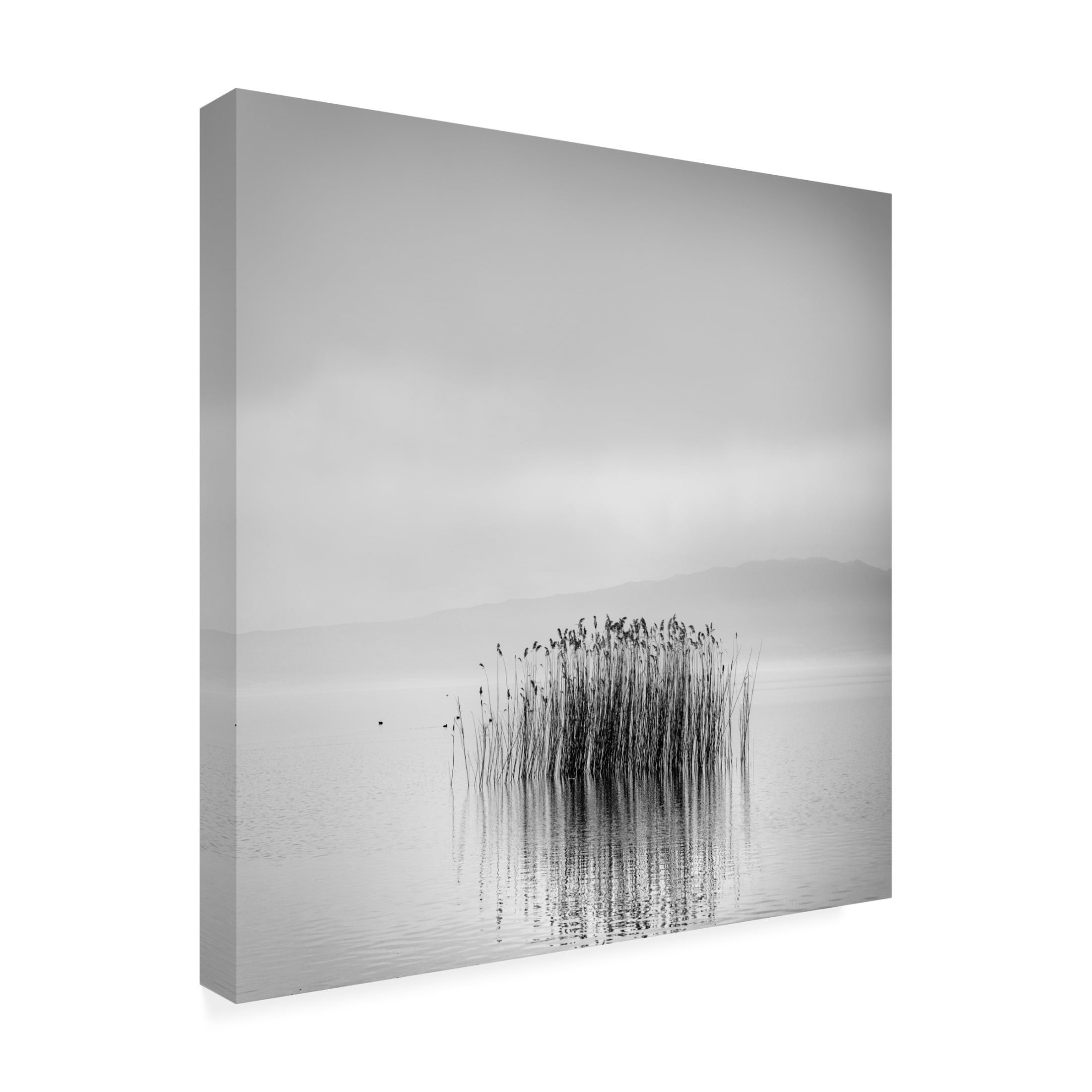 Canvas Wall Art - George Digalakis 'Morning Silence' Wall Art for Living Room, Bedroom, or Office Décor by Trademark Fine Art - 18 x 18 Inches
