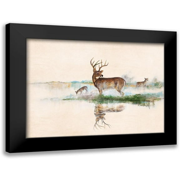 Manning, Ruane 14x11 Black Modern Framed Museum Art Print Titled - Misty Deer