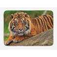 thumbnail image 1 of Tiger Bath Mat, Noble Beast Crouching on a Rock Sumatrian Large Cat Beautiful Nature Photography, Non-Slip Plush Mat Bathroom Kitchen Laundry Room Decor, 29.5 X 17.5 Inches, Multicolor, Ambesonne, 1 of 2