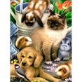 thumbnail image 1 of Pintura de Diamante (DE5247) 5D DIY Perros Gatos Cuadro de Pared de Diamantes de Imitación Redondo Completo (6385) 20X30cm Hugtrwg Para estrenar, 1 of 1
