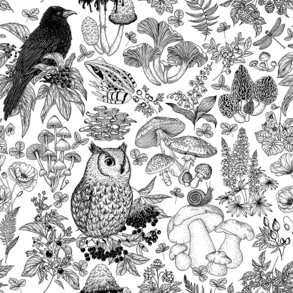 Black and White Wallpaper Peel and Stick Vintage Bird Frog Owl Wall Paper Modern Renter Friendly Gothic Contact Paper Cabinets Self Adhesive Kitchen Vinyl Wrap 17.5x78.8