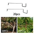 thumbnail image 2 of 20× Fruit Tree Branch Limb Spreader Reuseable Wire for Garden Branch Spreader, 2 of 10