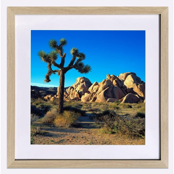 SkyDrama 20 in x 20 in Beige Beige Wood Grain Style Frame