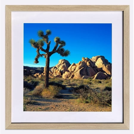 SkyDrama 20 in x 20 in Beige Beige Wood Grain Style Frame