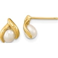 thumbnail image 1 of 14K Yellow Gold Madi K 4-5mm Rice White Fwc Pearl Earrings (7.24 X 6.65) Made In Canada se3037, 1 of 5