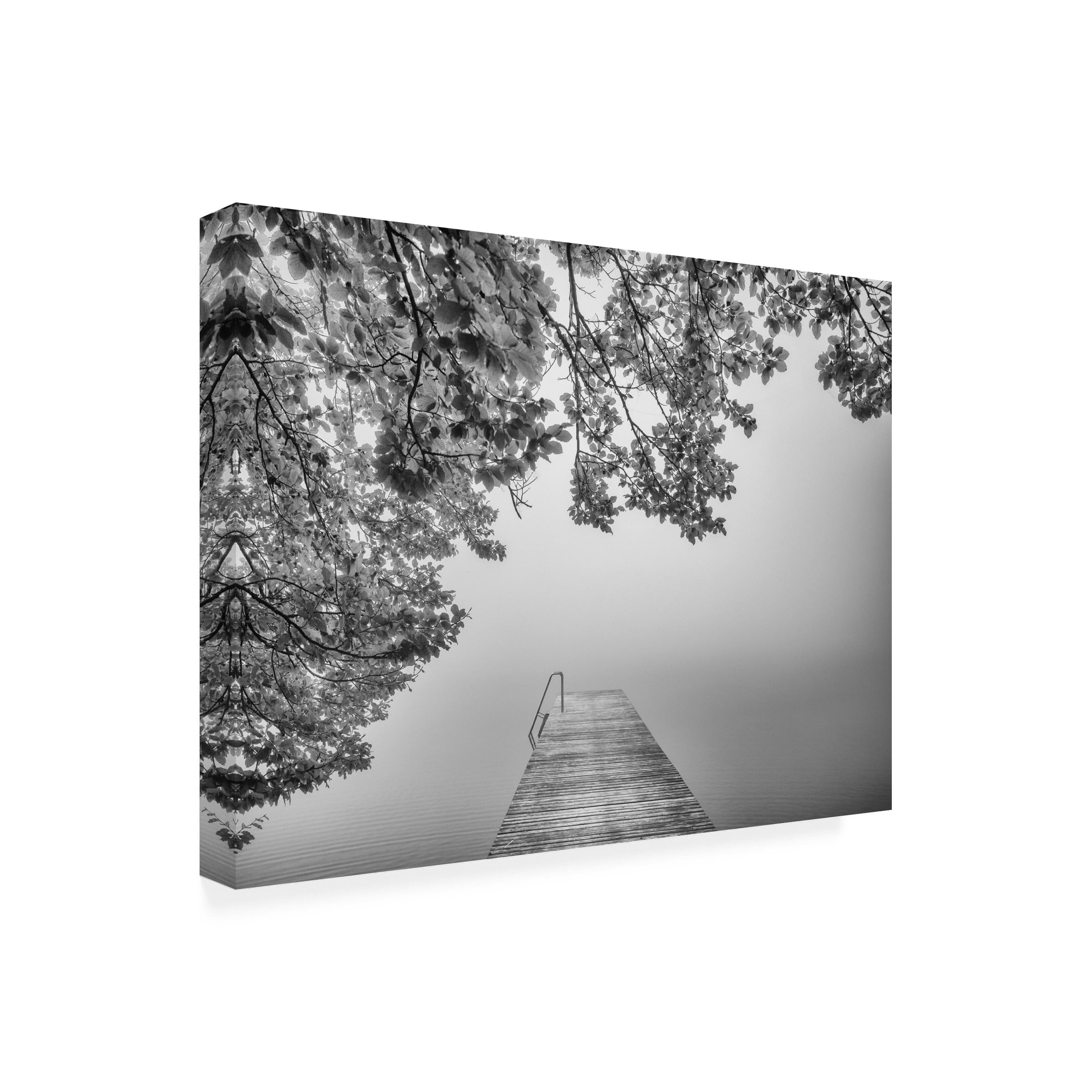 Canvas Wall Art - Margit Lisa Roeder 'The Sound Of Silence' Wall Art for Living Room, Bedroom, or Office DÃ©cor by Trademark Fine Art - 24 x 18 Inches