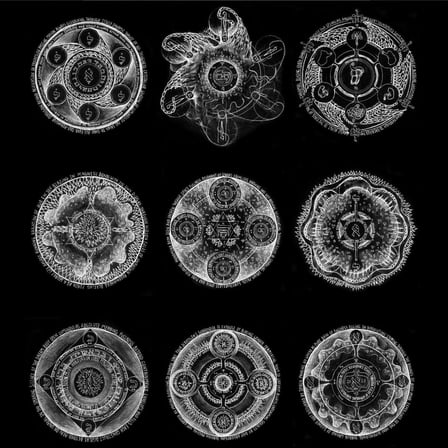 Zorn,John / Laswell,Bill - Memoria - Music & Performance - CD