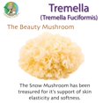 thumbnail image 2 of Extracto nutritivo de hongo Tremella en polvo | Polvo de extracto de tremella altamente concentrado (100 gramos), 2 of 9