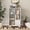 White, variant on MDF painted Cabinet with Glass Doors and Drawer, Open Storage Space,  Bedroom, Living Room (Black)