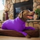 thumbnail image 4 of Mono deportivo para perro: caída del pelo de perro para el hogar, el coche, los viajes, la camisa que calma la ansiedad, la protección contra los rayos UV y las garrapatas, 4 of 5