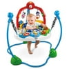 Fisher-Price - Laugh & Learn, Jumperoo with Bonus Gift Card