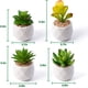 thumbnail image 3 of Paquete de 4 mini plantas suculentas artificiales en macetas, juego de suculentas falsas con macetas de cerámica blanca, plantas suculentas artificiales en maceta para el hogar, 3 of 5