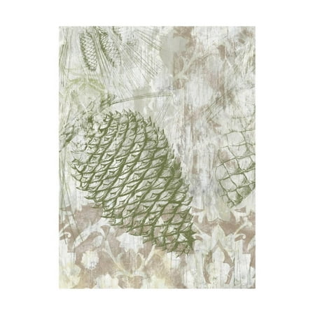 Metal Art Pinecone - Pinecone Fresco I Print Wall Art By June Vess